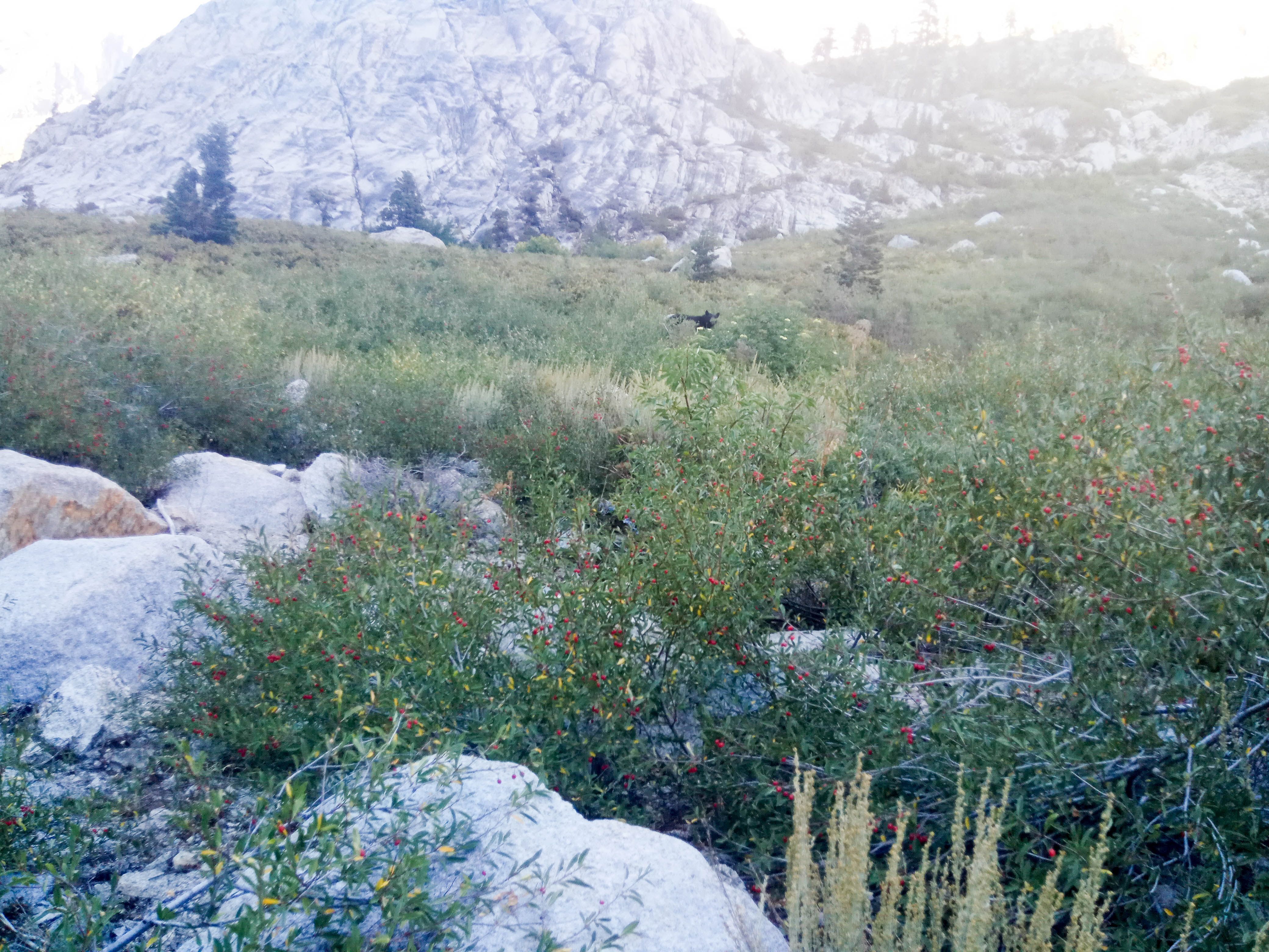 20170919-IMG_20170919_170537